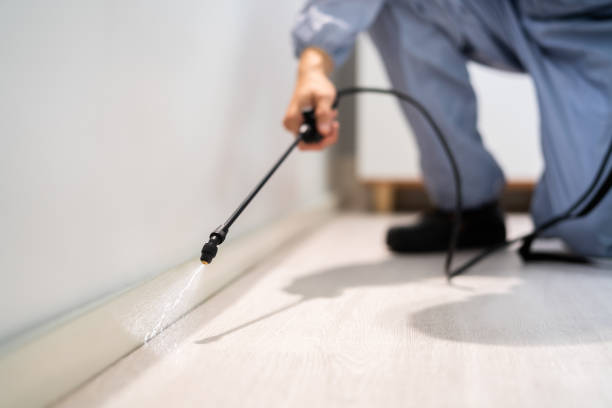 Licensed Cockroach Control service in Ashville, AL - Nex Pest Control