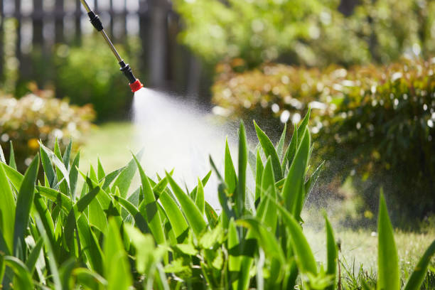 24/7 Emergency Cockroach Control experts in Ashville, AL