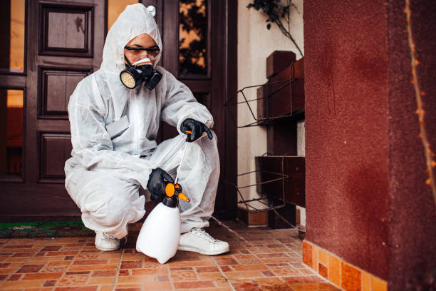 Reliable Cockroach Control contractor in Ashville, AL by Nex Pest Control