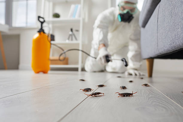 Affordable Cockroach Control solutions in Ashville, AL